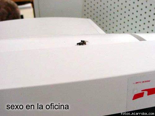 sexo en la oficina sexo en la oficina