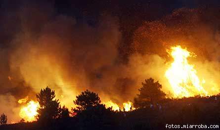 Incendio Alto Tajo, Guadalajara (17.7.05)