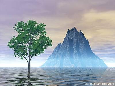 arbol arbol