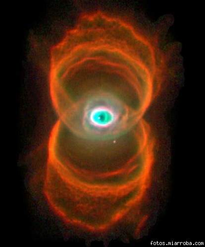 cosmos cosmos