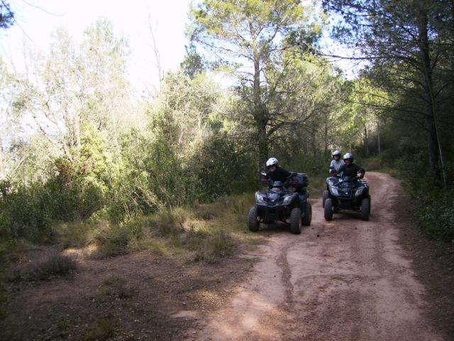 Quad en montaa