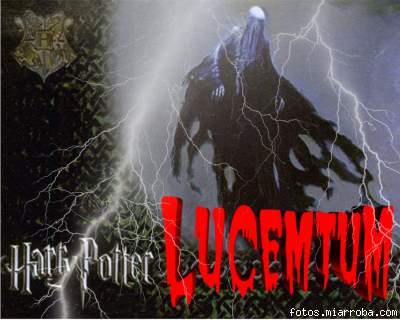 Firma lucemtum