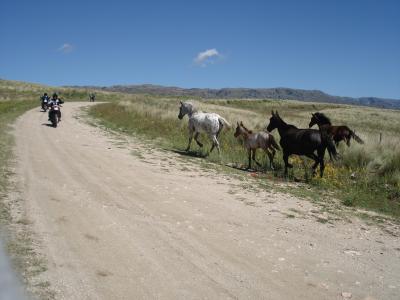 COPINA-EL CONDOR, RECORRIDO DEL RALLY MUNDIAL