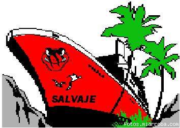 Barco Salvaje