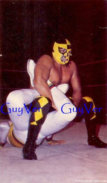 Pierroth Jr