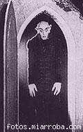 nosferatu