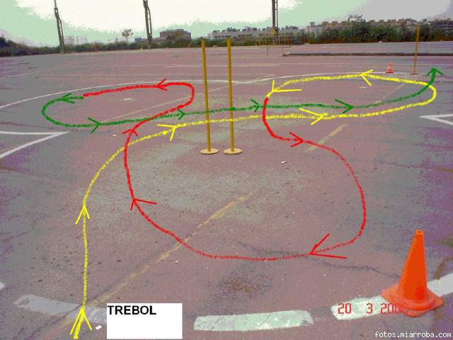 _TREBOL