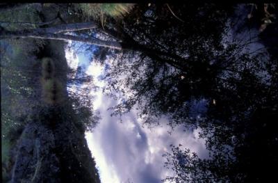 Fontirin, reflejos. Foto F. Medrano