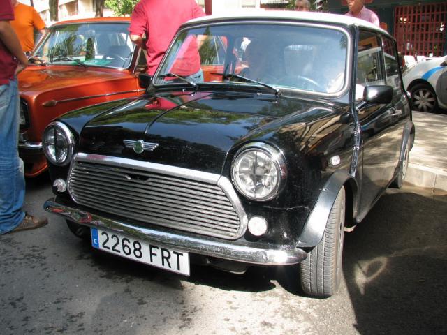 mini 1000