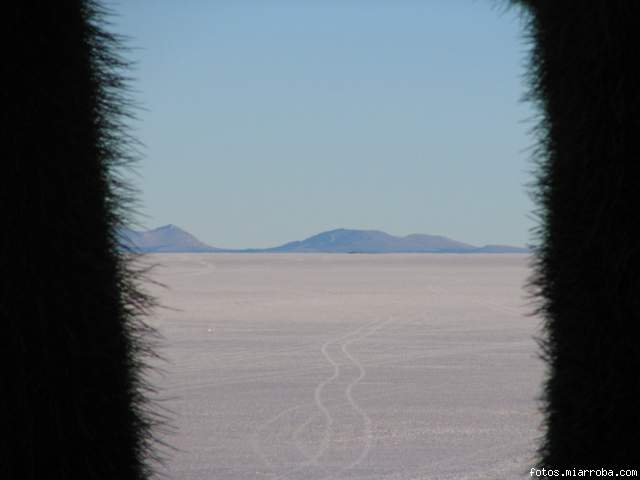 Vista del Salar