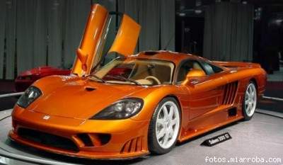 saleen