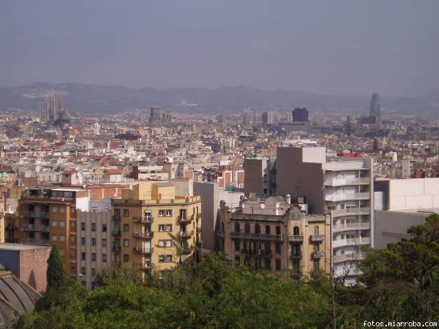 mas bcn