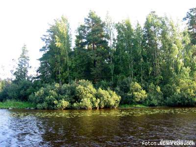 Finlandia. Regin de los mil lagos