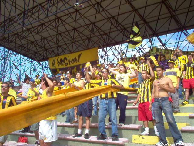 tachira local en valencia