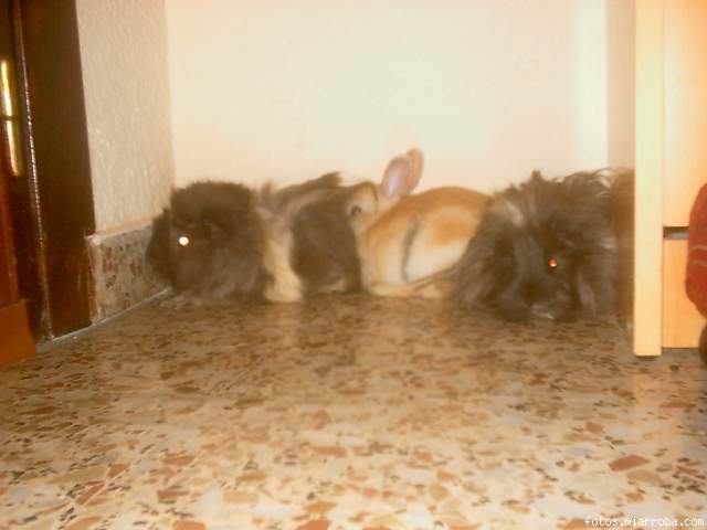 los 3 acojonaos!