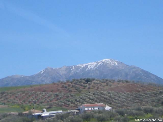 Pico de la maroma(