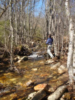 Arroyo de Aguablanca, Velilla (Muelas)