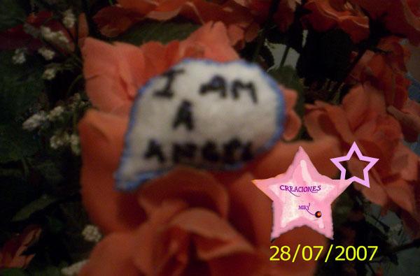 broche: i am a angel