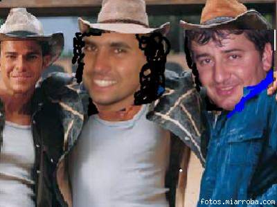 gavilanes