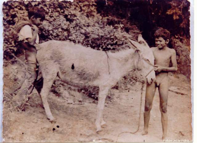 el primer amor de los llaneros... je je je