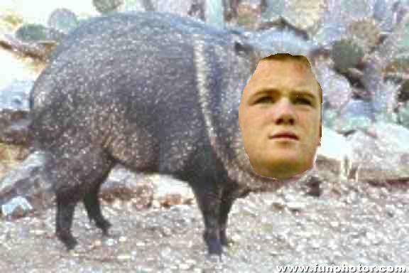 ROONEY JABALI ROONEY JABALI