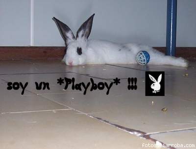 Playboy