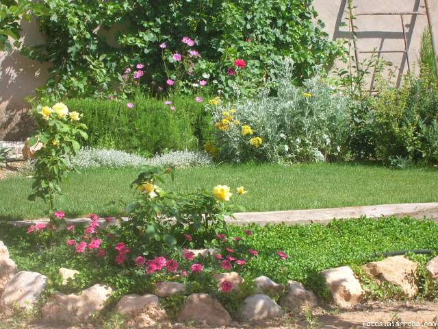 taller jardin 2006
