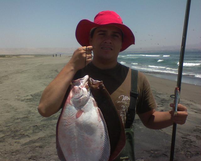 Playa las Machas, lenguados de 3 kilos y 2 kilos