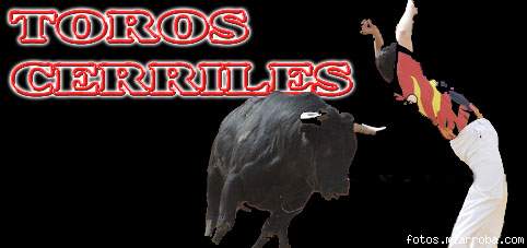 Web www.toros-cerriles.tk