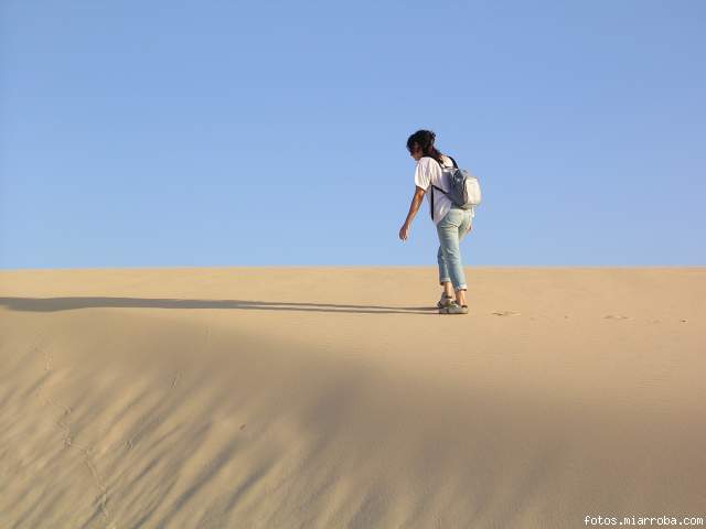 Vagando por el desierto