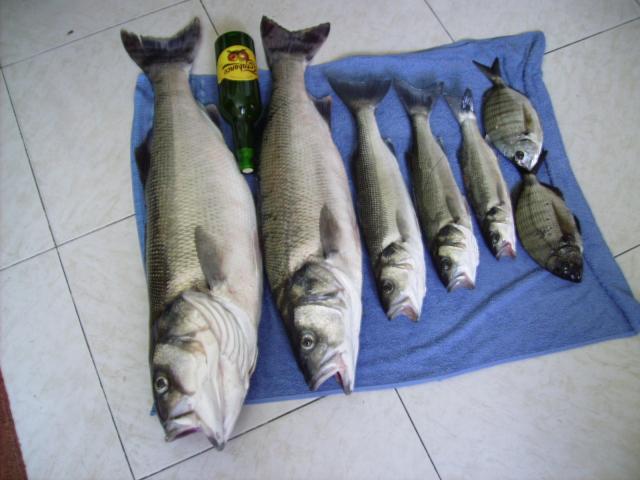 con chipiron y nabaja pescata salinas con chipiron y nabaja pescata salinas