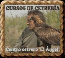 cursos de cetrera. Centro cetrero 'El ngel'