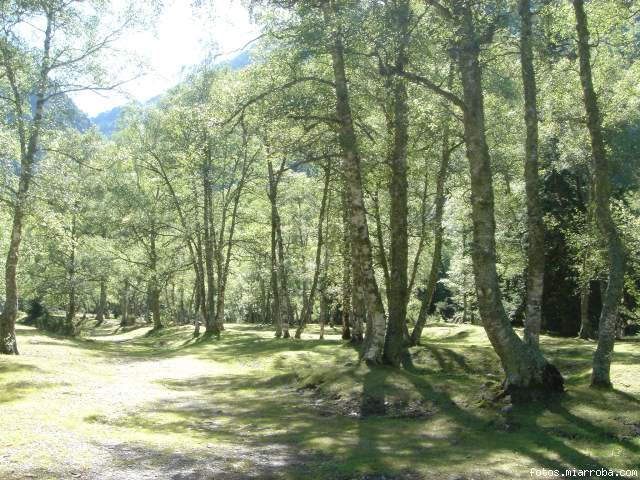 pirineo52