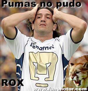 PUMAS NO PUDDO
