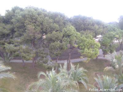 Guardamar, vistas desde la casa.