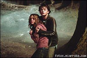 harry y hermy