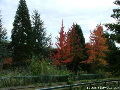 A que molan los colores, es el Hotel Sequoia A que molan los colores, es el Hotel Sequoia