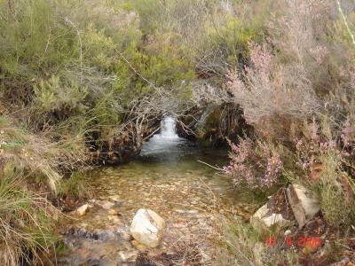 Arroyo que va al Fontirn, en Velilla (Muelas)