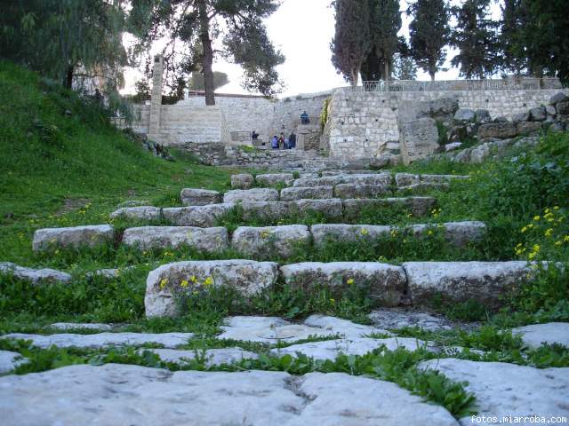 ESCALERA SANTA