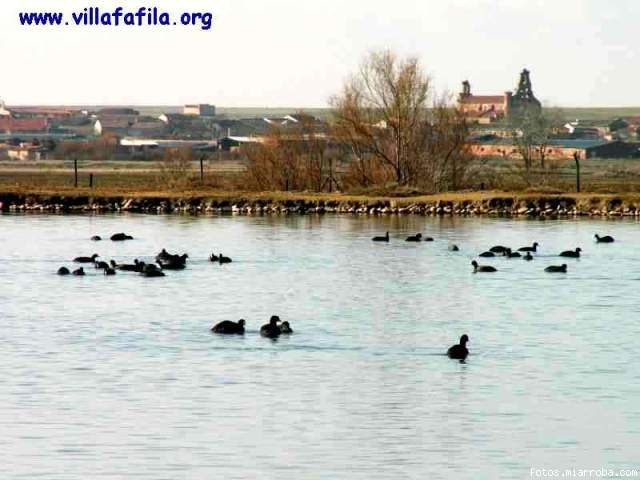 Lagunas del Centro de Interpretacin