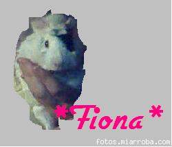 Fionis