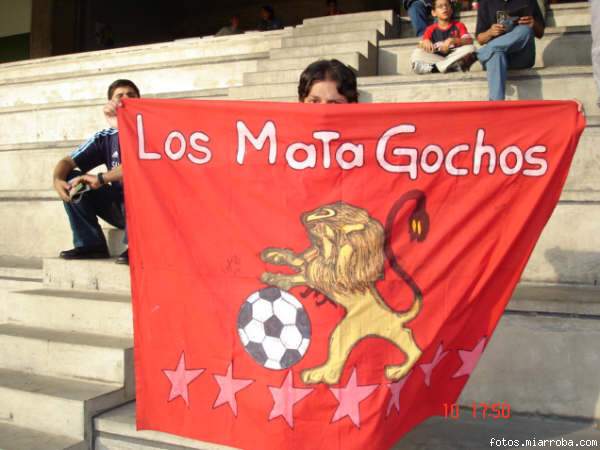 los mata gochos