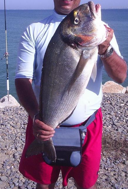 dorada 5 kgs