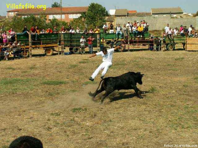 Buen salto de cara a la vaquilla