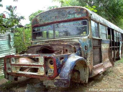 BUS EL GRAN JEFE 9B-160 FORESTAL