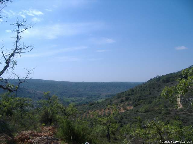 Vistas del paisaje 1