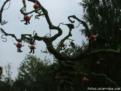 Mata de calabazas, así nacen los hombres calabaza Mata de calabazas, así nacen los hombres calabaza