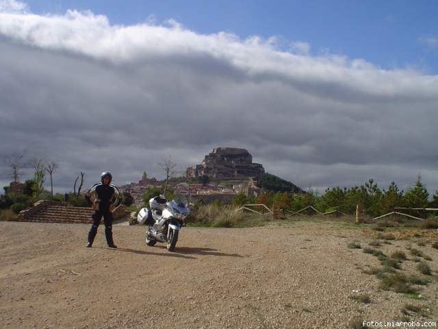 Morella