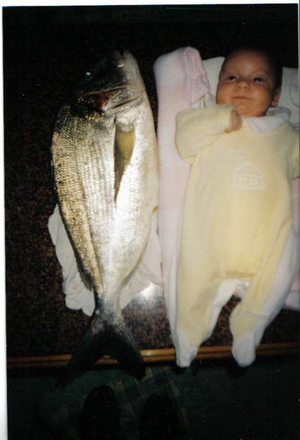 dorada y mi nia de referencia