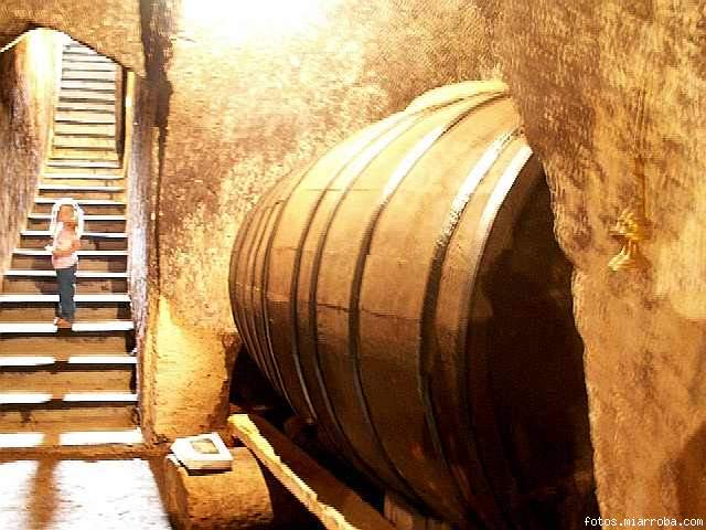 Interior de una bodega